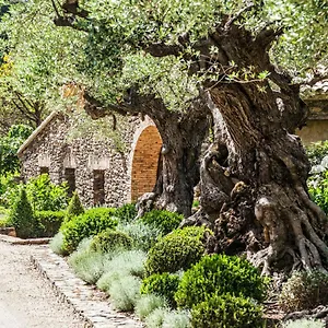 Domaine Les Mésanges 3*, Gassin Francia